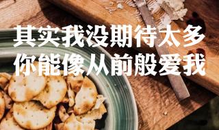 我在人民广场吃炸鸡歌词