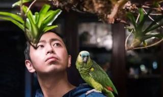 最强大脑王昱珩是哪一期