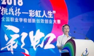 挑战杯创业大赛获奖作品