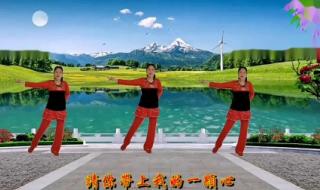 广场舞泉水叮咚响分解动作