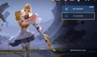 夏洛特中文语音包怎么用