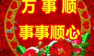 十六的月亮经典句子