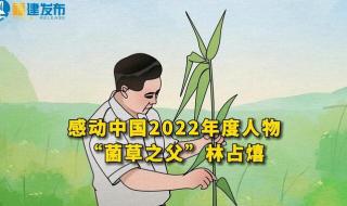 感动中国2022什么时候播出