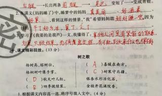 小学二年级语文期末试卷
