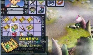 梦幻西游高级内丹