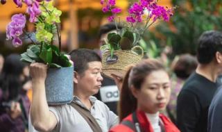 2023国庆摆花方案公布